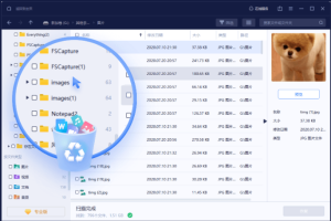数据恢复EaseUS Data Recovery Wizard 16.0技术员终身版本